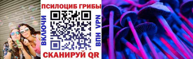 Псилоцибиновые грибы Cubensis купить наркоту Курск